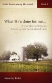 God's Touch Among The Amish, Book 1
