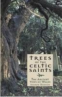 Trees of the Celtic Saints ? The Ancient Yews of Wales - Morton, Andrew