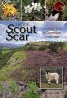 About Scout Scar - Wiltshire, Jan