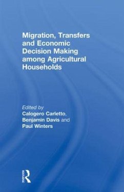 Migration, Transfers and Economic Decision Making Among Agricultural Households