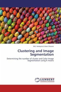 Clustering and Image Segmentation