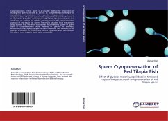 Sperm Cryopreservation of Red Tilapia Fish