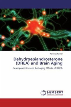 Dehydroepiandrosterone (DHEA) and Brain Aging - Kumar, Pardeep