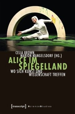 Alice im Spiegelland, m. CD-ROM