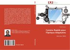 SISTEMA ANISOTRÓPICO VERDE PLASMÔNICO PARA ÓPTICA LINEAR E NÃO LINEAR: Uma  abordagem de homem leigo by Thomas, Vinoy, Thomas, Titu 