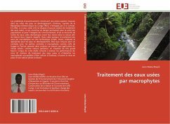 Traitement des eaux usées par macrophytes - Muba Mopili, Léon