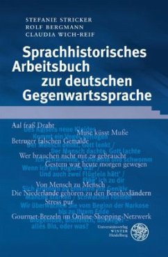 Sprachhistorisches Arbeitsbuch zur deutschen Gegenwartssprache - Stricker, Stefanie; Bergmann, Rolf; Wich-Reif, Claudia