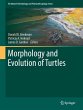 Morphology and Evolution of Turtles - Bild 1