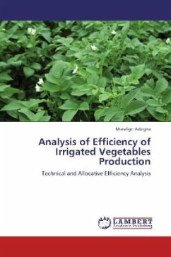 Analysis of Efficiency of Irrigated Vegetables Production