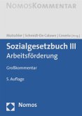 Sozialgesetzbuch (SGB) III, Arbeitsförderung, Großkommentar