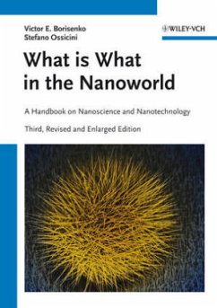 What is What in Nanoworld - Borisenko, Victor E.; Ossinici, Stefano