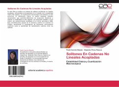 Solitones En Cadenas No Lineales Acopladas - Concha Obando, Paola;Pérez Riascos, Alejandro