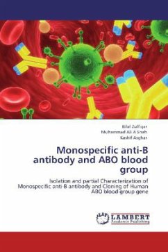 Monospecific anti-B antibody and ABO blood group