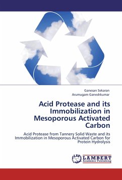 Acid Protease and its Immobilization in Mesoporous Activated Carbon