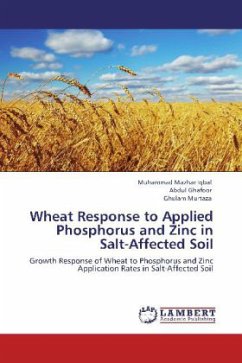 Wheat Response to Applied Phosphorus and Zinc in Salt-Affected Soil - Iqbal, Muhammad Mazhar;Ghafoor, Abdul;Murtaza, Ghulam