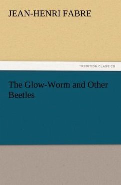 The Glow-Worm and Other Beetles - Fabre, Jean-Henri