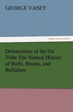 Delineations of the Ox Tribe The Natural History of Bulls, Bisons, and Buffaloes. Exhibiting all the Known Species and the More Remarkable Varieties of the Genus Bos. - Vasey, George