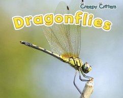 Dragonflies - Rissman, Rebecca