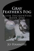 Gray Feather's Fog