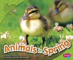 Animals in Spring - Rustad, Martha E H