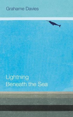 Lightning Beneath the Sea - Davies, Grahame