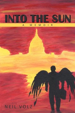 Into the Sun - Volz, Neil