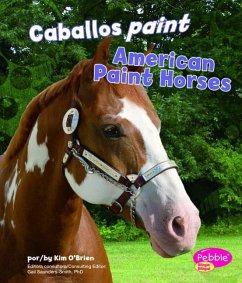 Caballos Paint/American Paint Horses - O'Brien, Kim