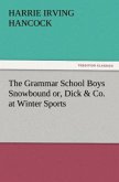 The Grammar School Boys Snowbound or, Dick & Co. at Winter Sports