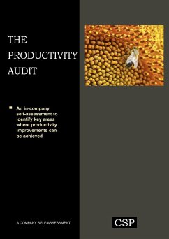 The Productivity Audit - Spelman, Mark; Spence, Paul