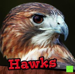 Hawks - Mccarthy, Cecilia Pinto