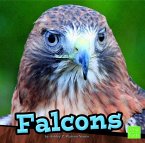 Falcons