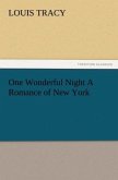 One Wonderful Night A Romance of New York