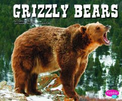 Grizzly Bears - Kolpin, Molly