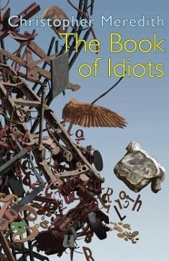 The Book of Idiots - Meredith, Christopher