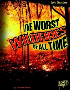 The Worst Wildfires of All Time - Garbe, Suzanne