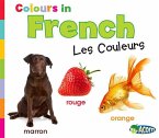 Colors in French: Les Couleurs