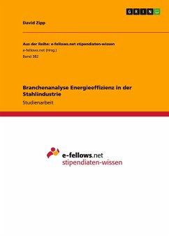 Branchenanalyse Energieeffizienz in der Stahlindustrie - Zipp, David