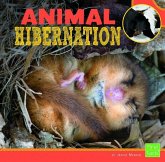 Animal Hibernation