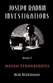 Joseph Radkin Investigations - Book 5