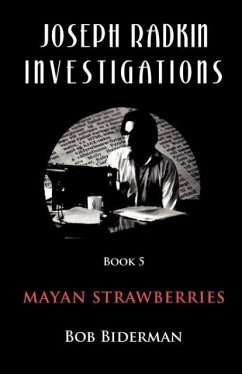 Cover Joseph Radkin Investigations - Book 5