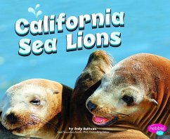 California Sea Lions - Peterson, Megan C.