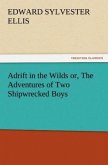 Adrift in the Wilds or, The Adventures of Two Shipwrecked Boys
