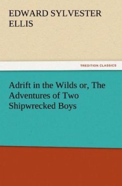 Adrift in the Wilds or, The Adventures of Two Shipwrecked Boys - Ellis, Edward Sylvester