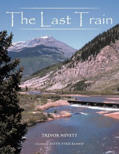 The Last Train - Nevett, Trevor