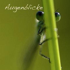 Cover Augenblicke