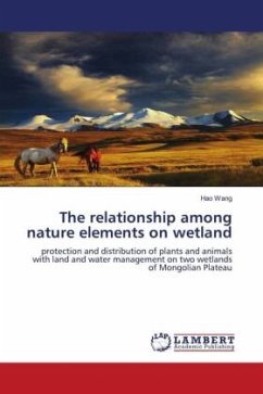 The relationship among nature elements on wetland