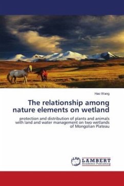 The relationship among nature elements on wetland - Wang, Hao