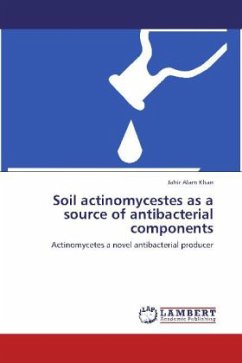 Soil actinomycestes as a source of antibacterial components