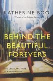 Behind the Beautiful Forevers