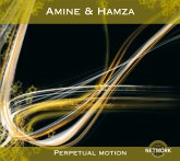 Perpetual Motion Perpetual Motion